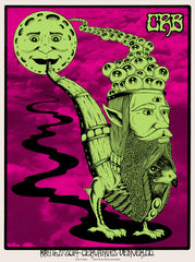 CHRIS ROBINSON BROTHERHOOD - Denver 2014 by Alan Forbes
