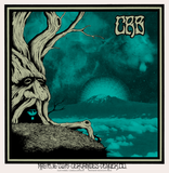 THE CHRIS ROBINSON BROTHERHOOD - Denver 2015 by Alan Forbes & Camille Johnson