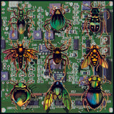 SPECIMEN BOX 'Four Walls' - Double LP (w/ download card)