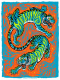 MELVINS / BORIS - Albany 2023 by Jesse Schaller
