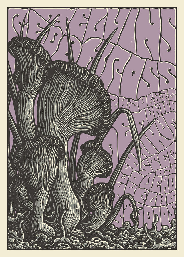 MELVINS / REDD KROSS - Munich 2025 by Dead Flag Studios