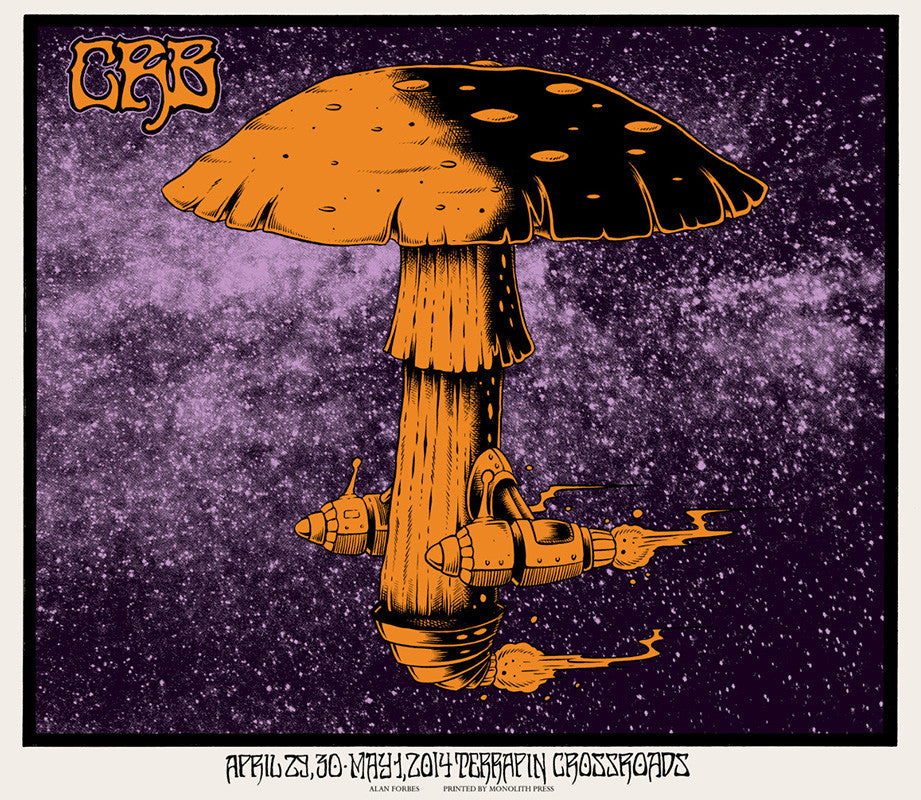 THE CHRIS ROBINSON BROTHERHOOD - San Rafael 2014 by Alan Forbes