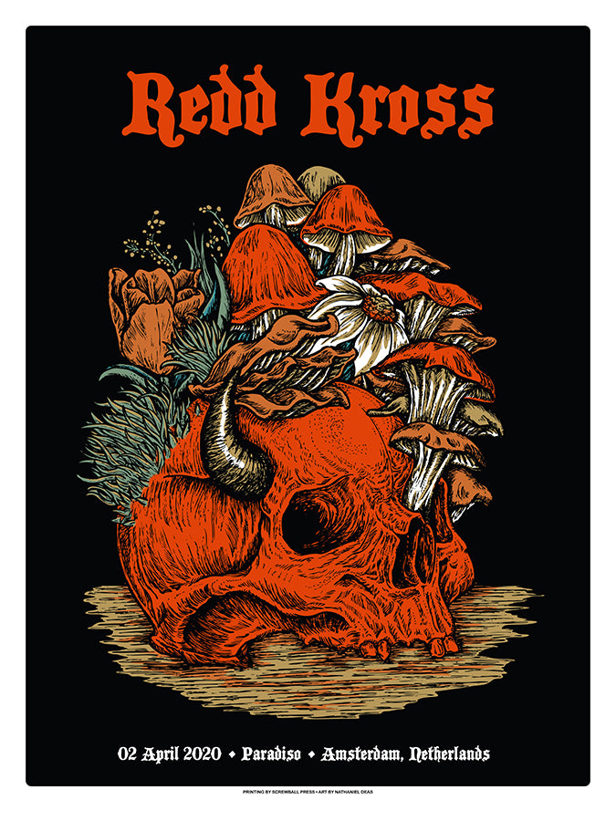 REDD KROSS - Amsterdam 2020 by Nate Deas