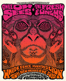 THEE OH SEES - San Francisco 2011 by Alan Forbes